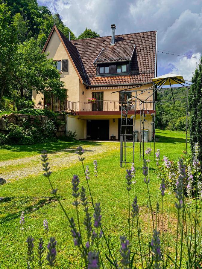 La Araucania, 2 Personnes - Wifi Rombach-le-Franc Εξωτερικό φωτογραφία